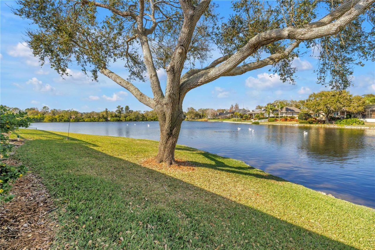 771 Suwannee Court Ne, Saint Petersburg, FL 33702 Photo