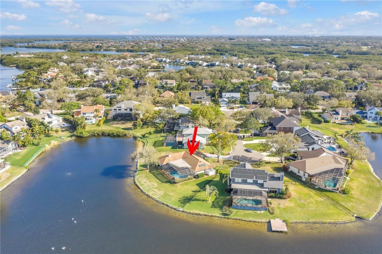 771 Suwannee Court Ne, Saint Petersburg, FL 33702 Photo