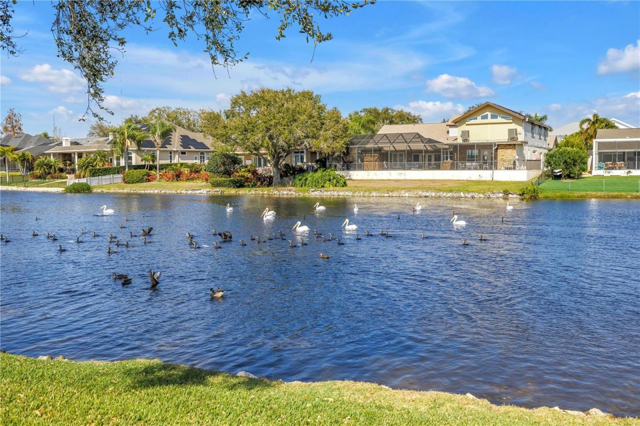 771 Suwannee Court Ne, Saint Petersburg, FL 33702 Photo