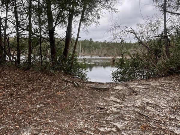 TBD Leisure Lane , Holt, FL 32564