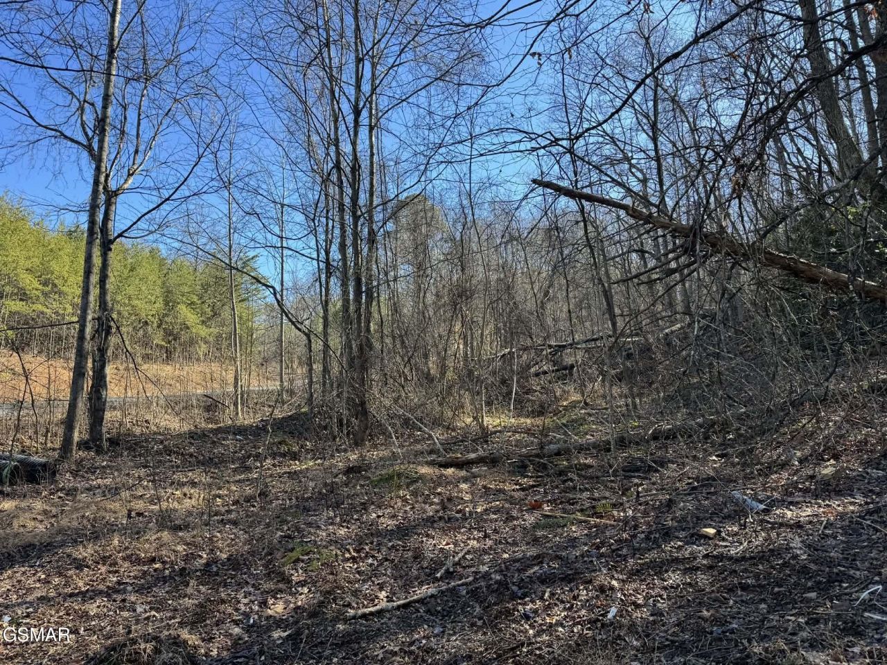 Lot 27 Blue Springs Way, Newport, TN 37821 Main Photo