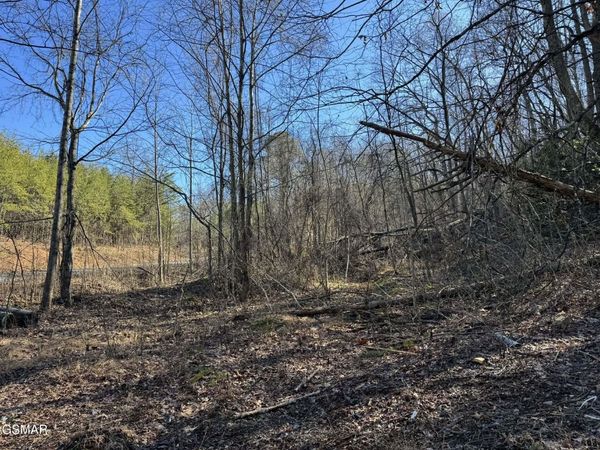 Lot 27 Blue Springs Way, Newport, TN 37821