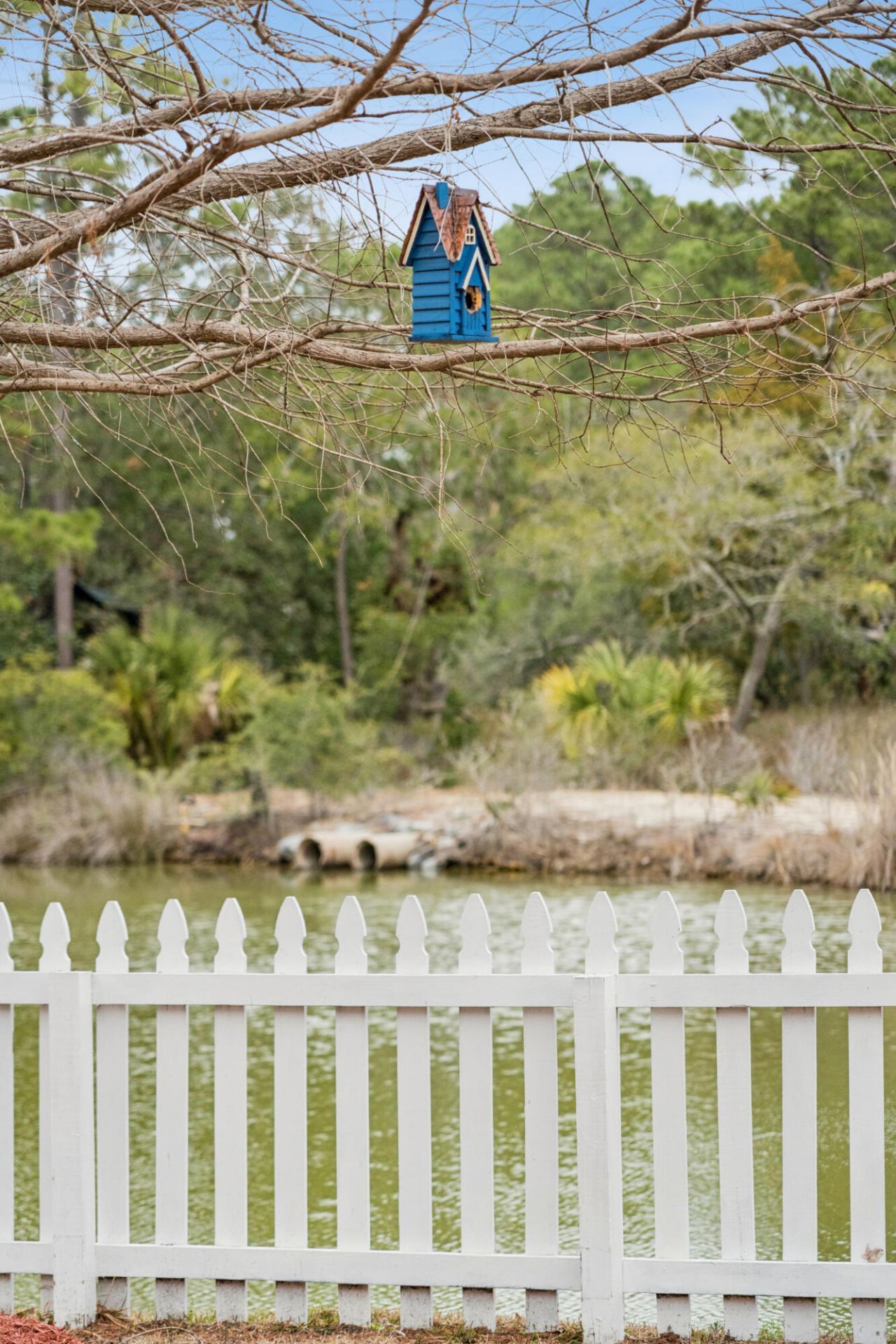 110 Revolution Drive Photo 24