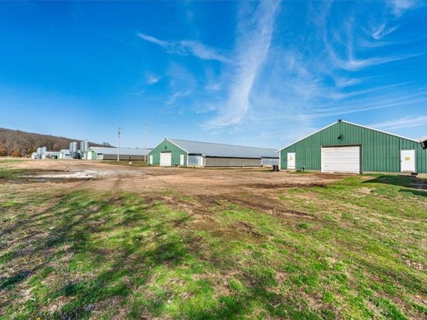 TBD Rock Springs Road , Lincoln, AR 72744