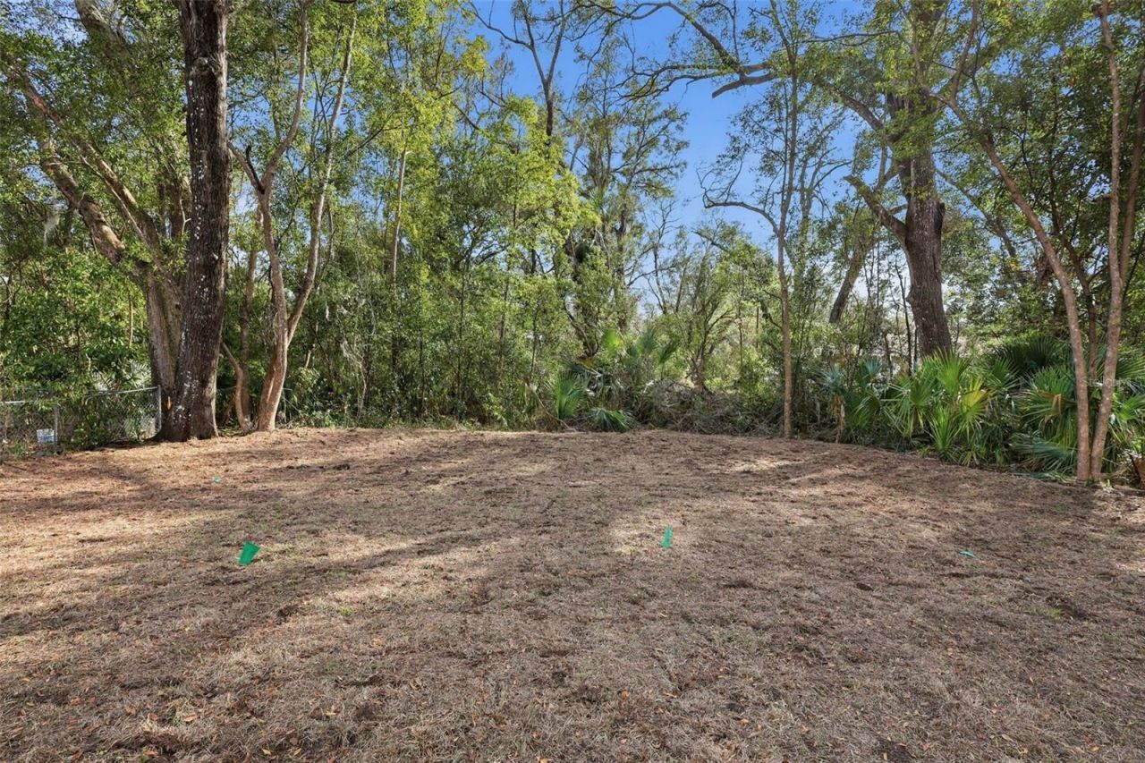 24534 Paul Street, Sorrento, FL 32776 Photo