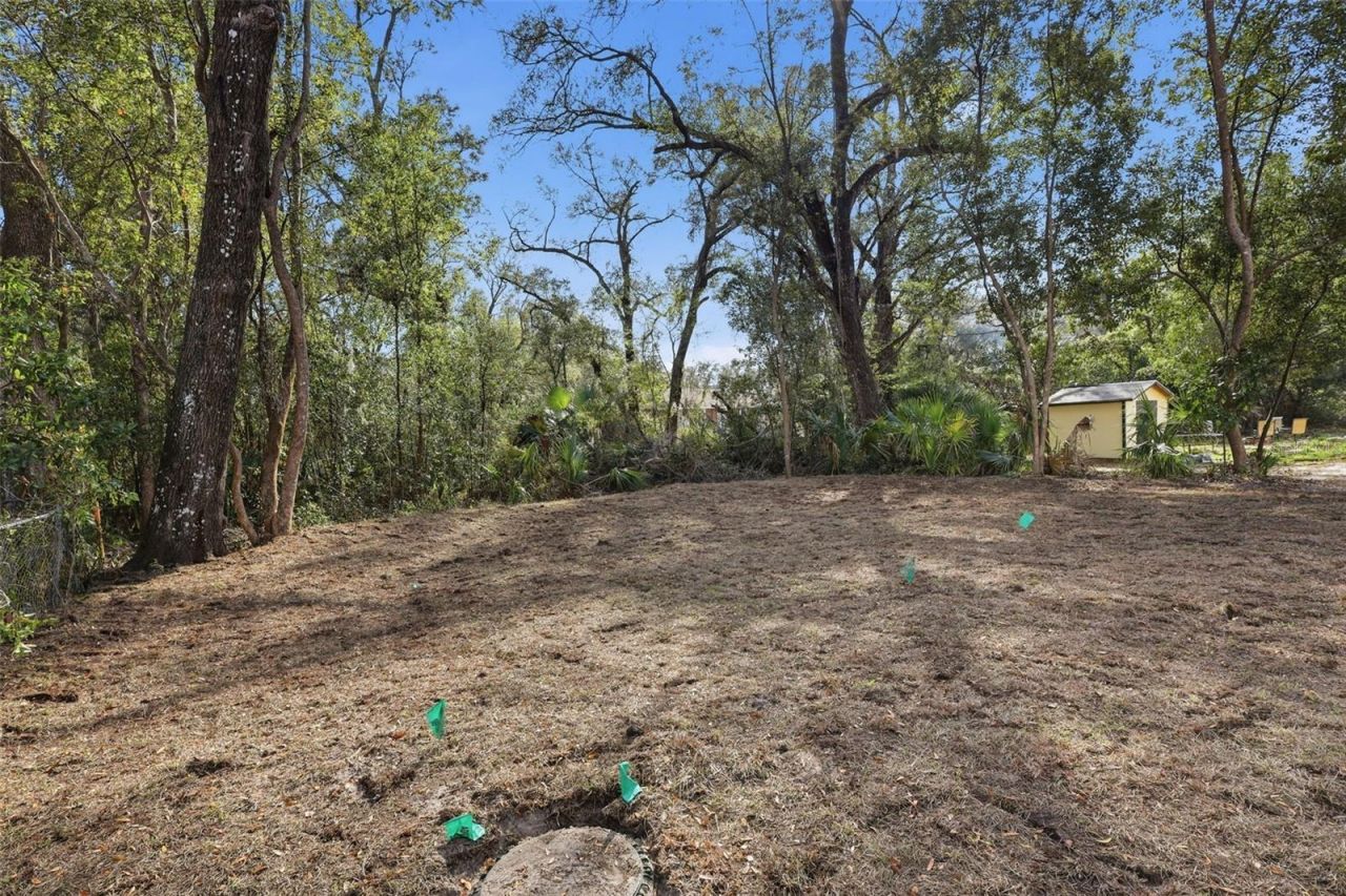 24534 Paul Street, Sorrento, FL 32776 Photo