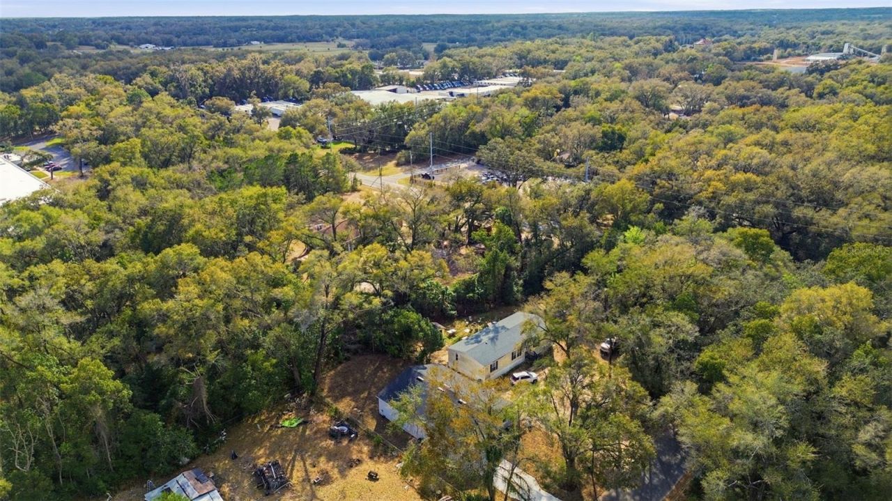 24534 Paul Street, Sorrento, FL 32776 Photo