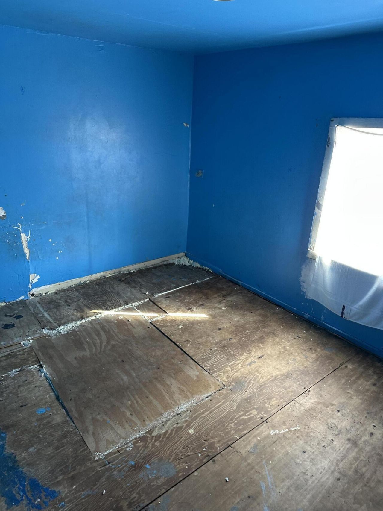 1645 Cuffy Lane Photo 11