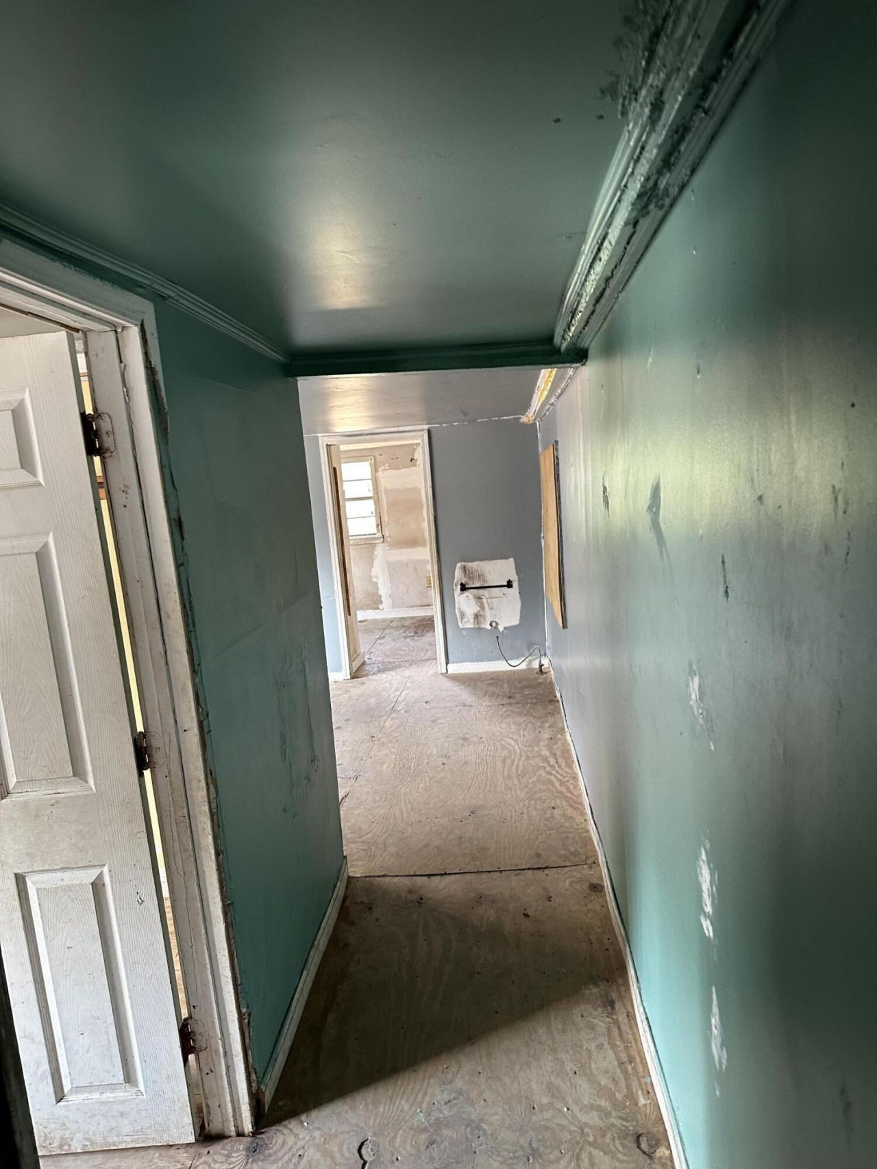 1645 Cuffy Lane Photo 14