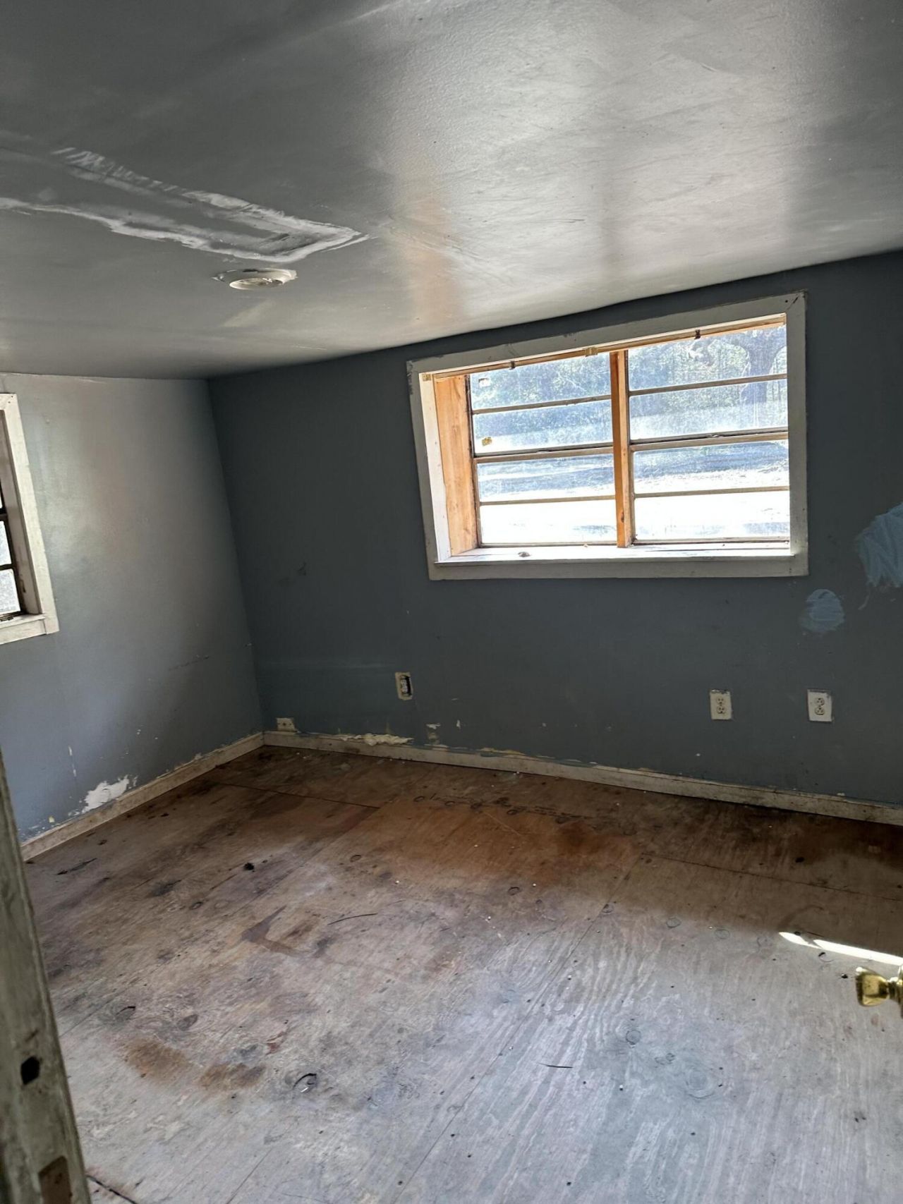 1645 Cuffy Lane Photo 15