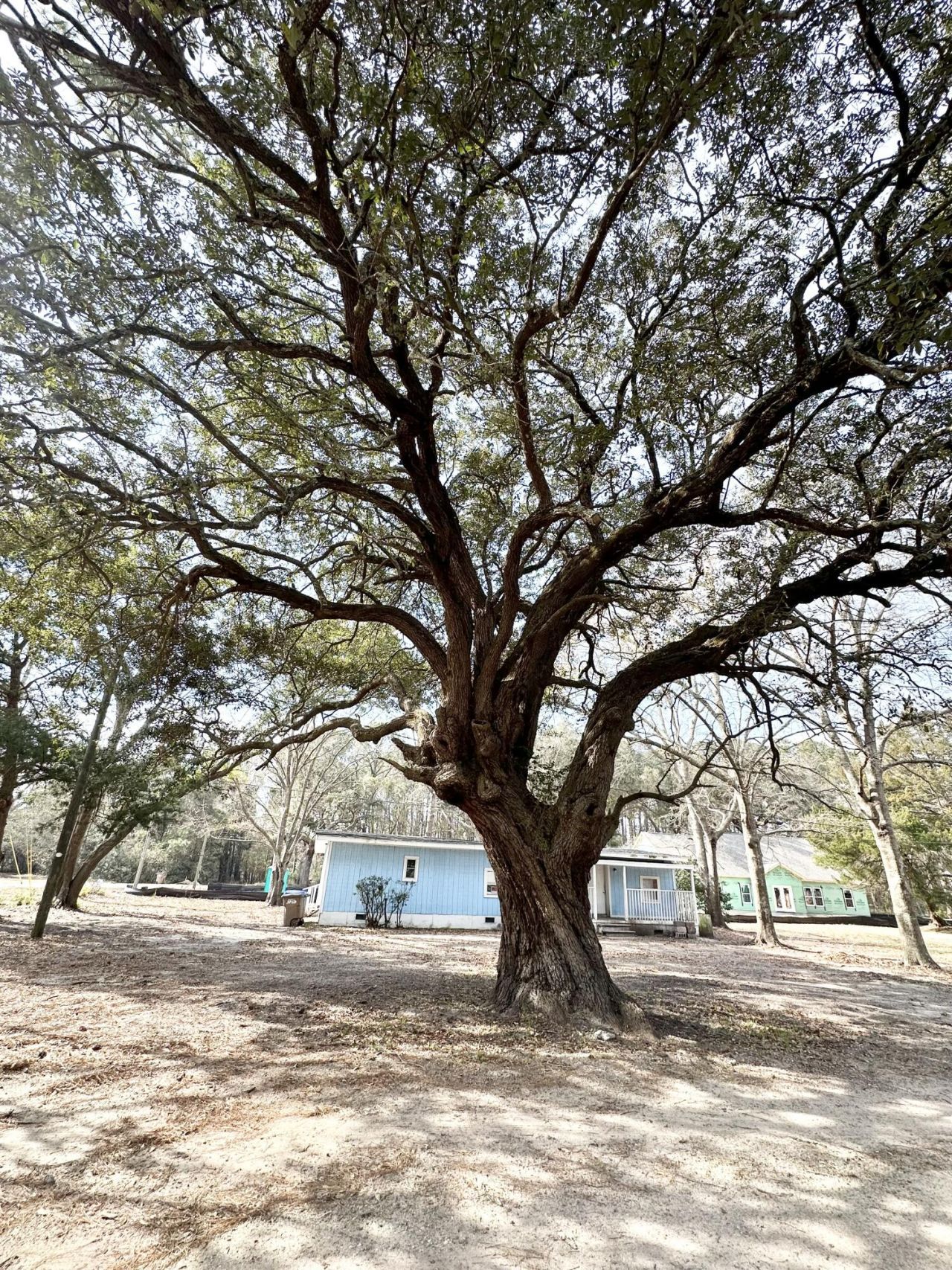 1645 Cuffy Lane Photo 4