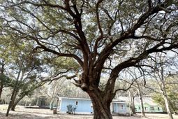 1645 Cuffy Lane photo 4