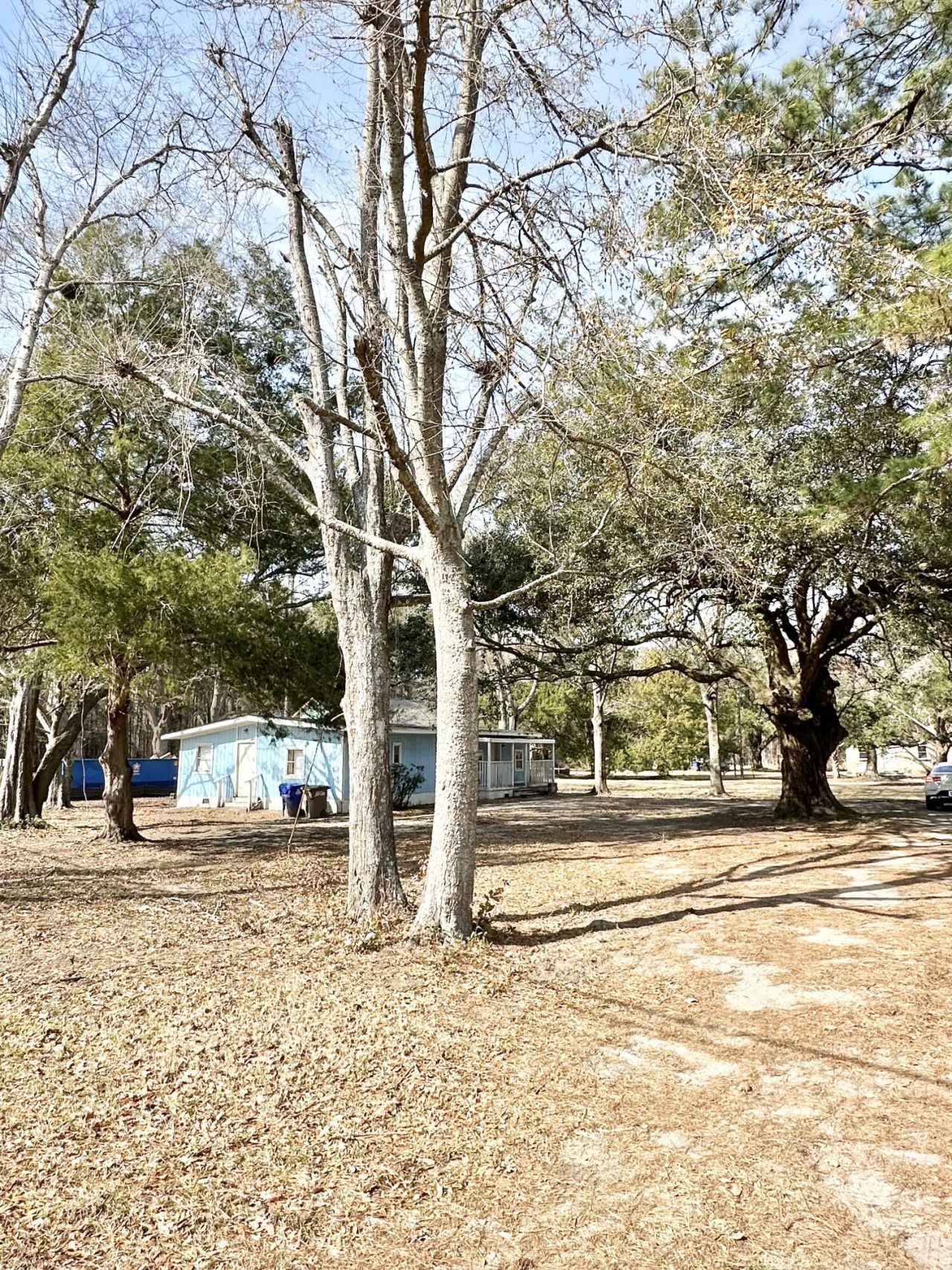 1645 Cuffy Lane Photo 5