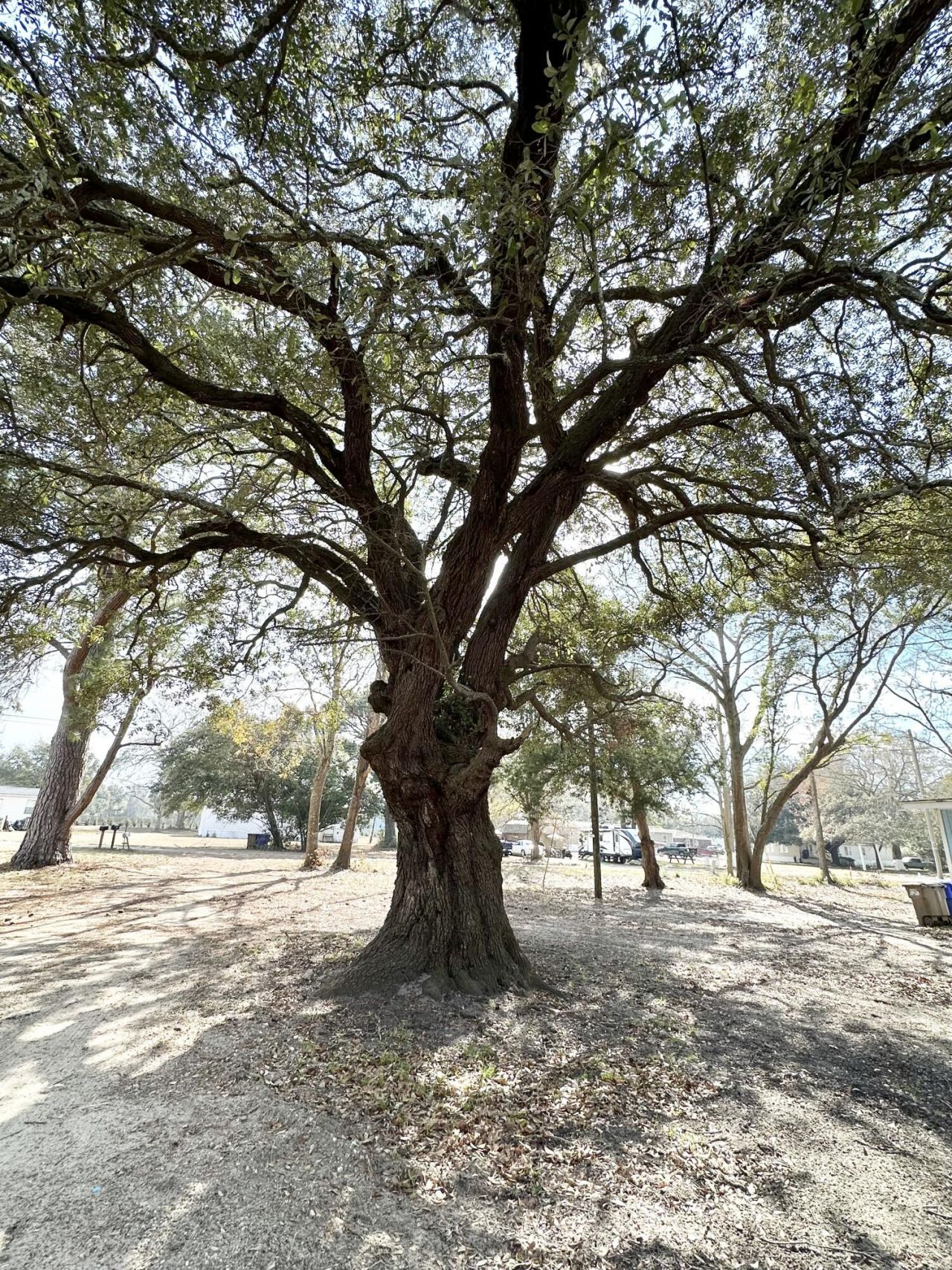 1645 Cuffy Lane Photo 6