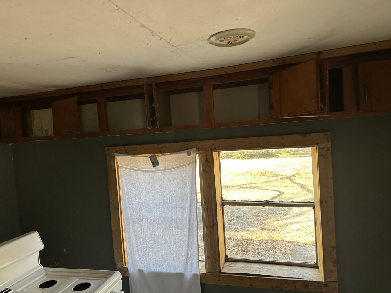 1645 Cuffy Lane Photo 7