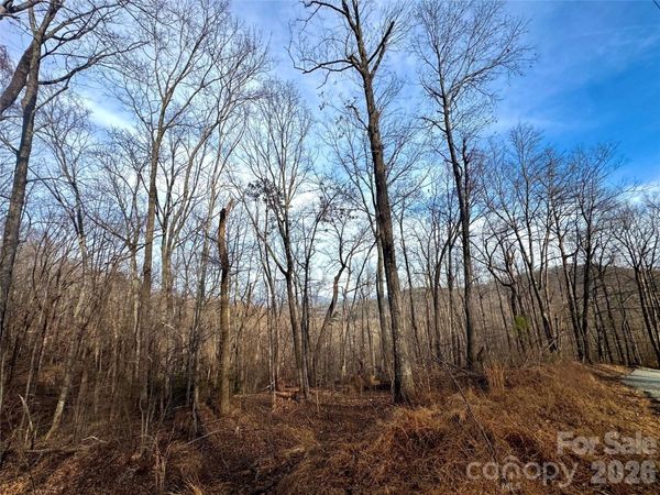 0 Peartree Drive , Lake Lure, NC 28746