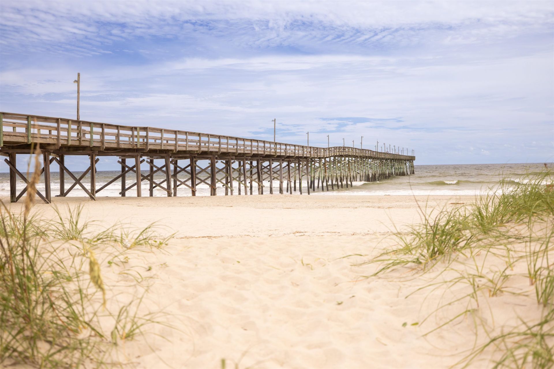 63 Condor Ct Photo 32