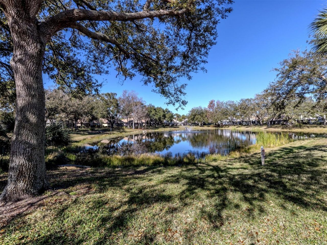 575 Clubside Circle, Unit 35, Venice, FL 34293 Photo