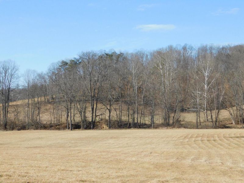 0 Maysville Williams Road, Logan, OH 43138 Photo 7