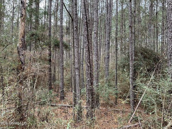 Berwick Cassels Road, Gloster, MS 39638