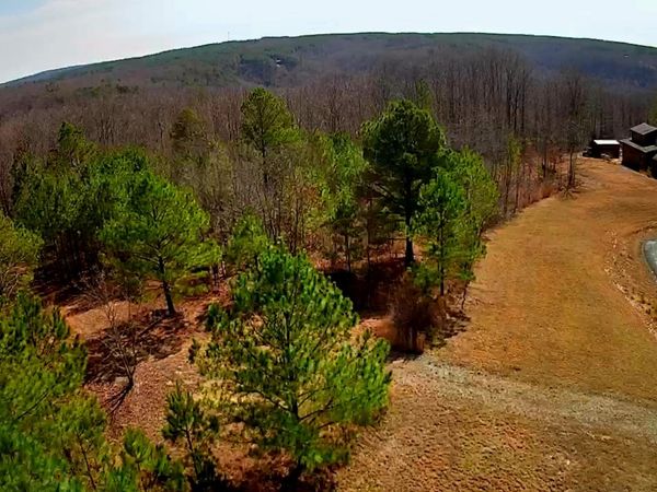 255 Falling Cliff Drive, South Pittsburg, TN 37380