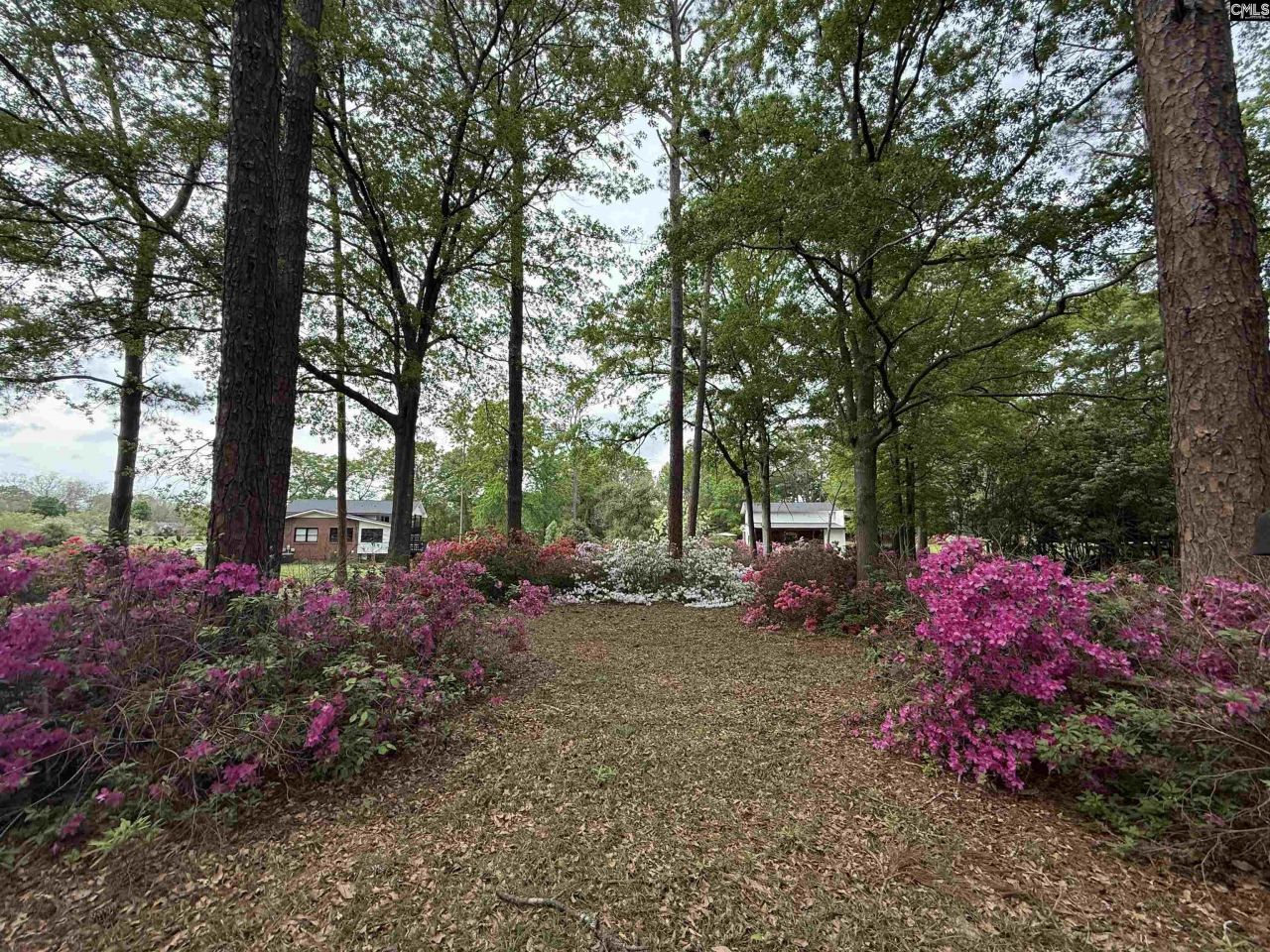 26 Hartford Heights Street Photo 6