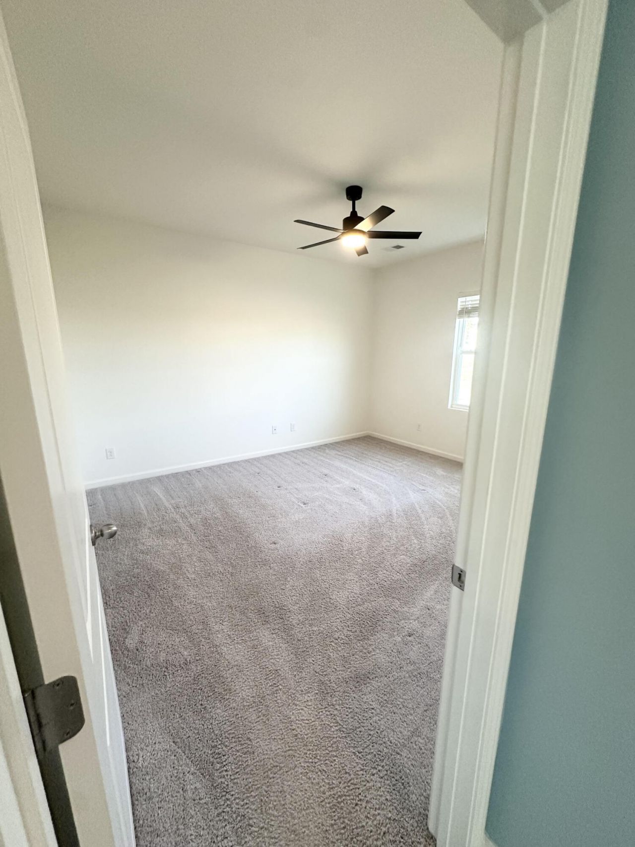 426 Pender Woods Drive Photo 13