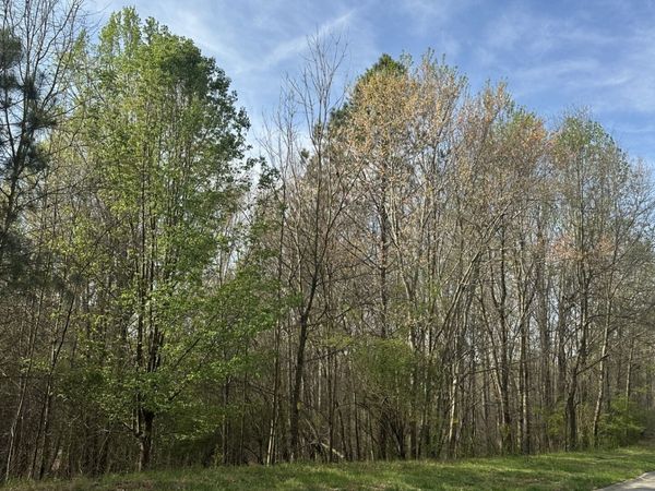 3462 Roy Parks Road, Gainesville, GA 30507