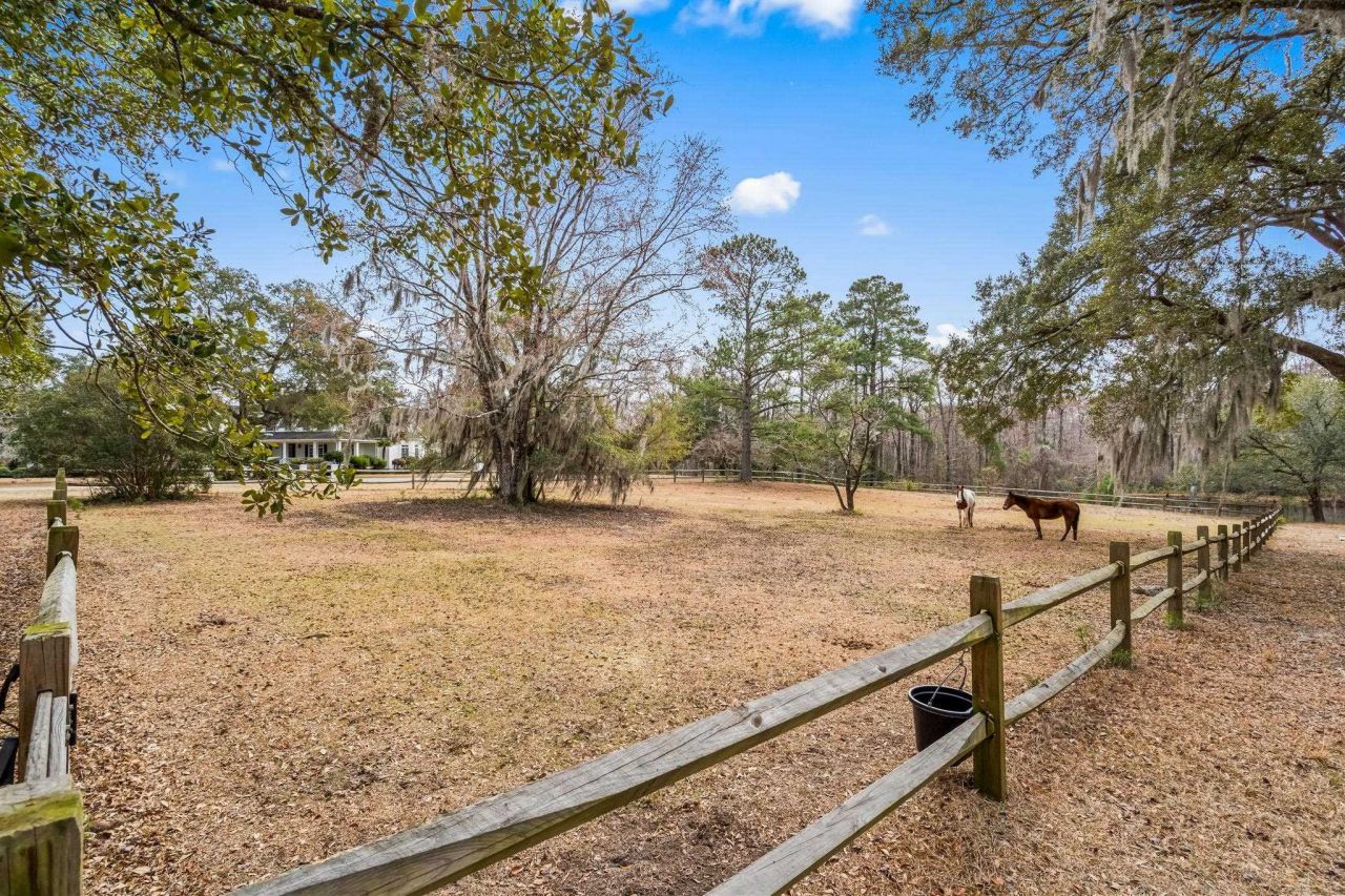 Tbd Shadow Moss Ln. Photo 17