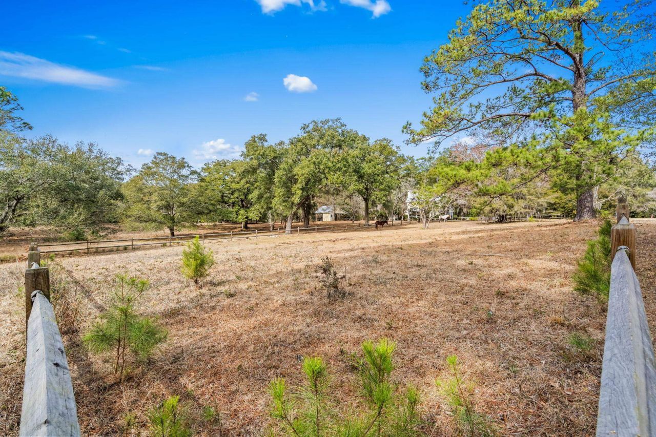 Tbd Shadow Moss Ln. Photo 18