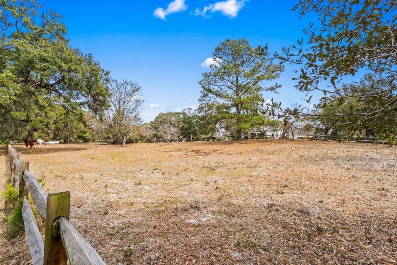 Tbd Shadow Moss Ln. Photo 19