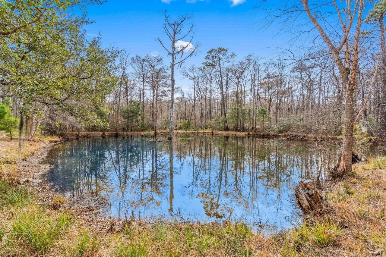 Tbd Shadow Moss Ln. Photo 20