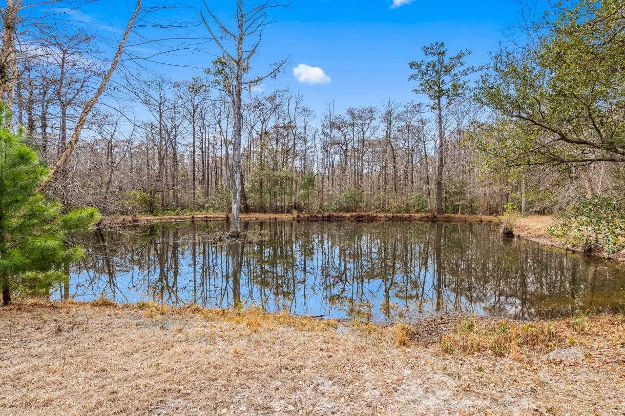 Tbd Shadow Moss Ln. Photo 21