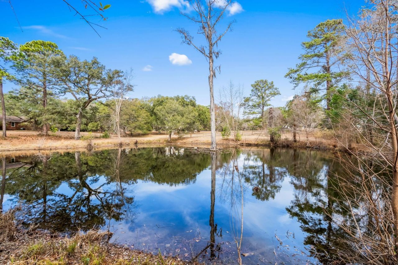 Tbd Shadow Moss Ln. Photo 22