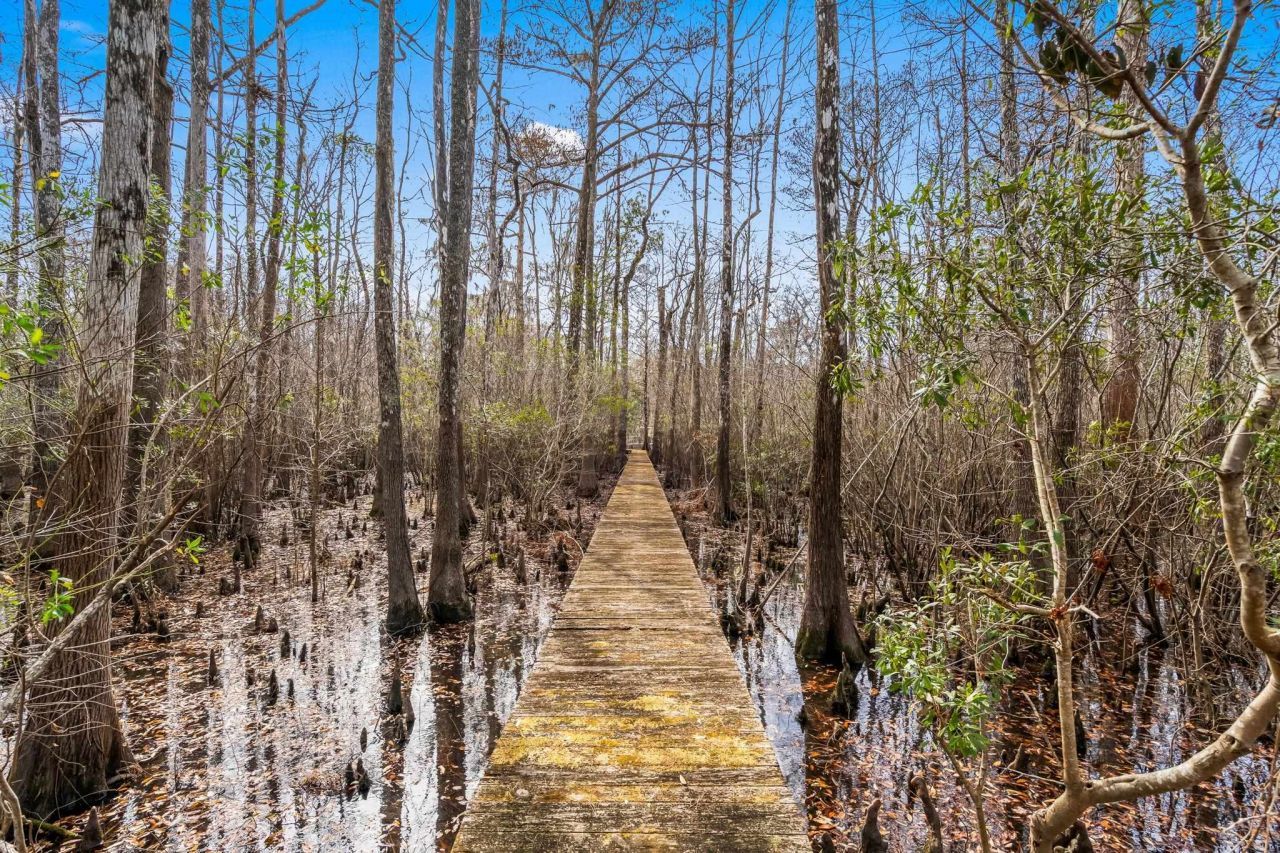 Tbd Shadow Moss Ln. Photo 23