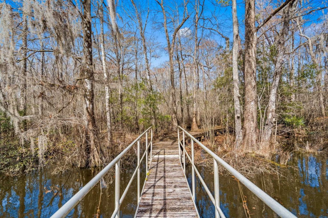 Tbd Shadow Moss Ln. Photo 24