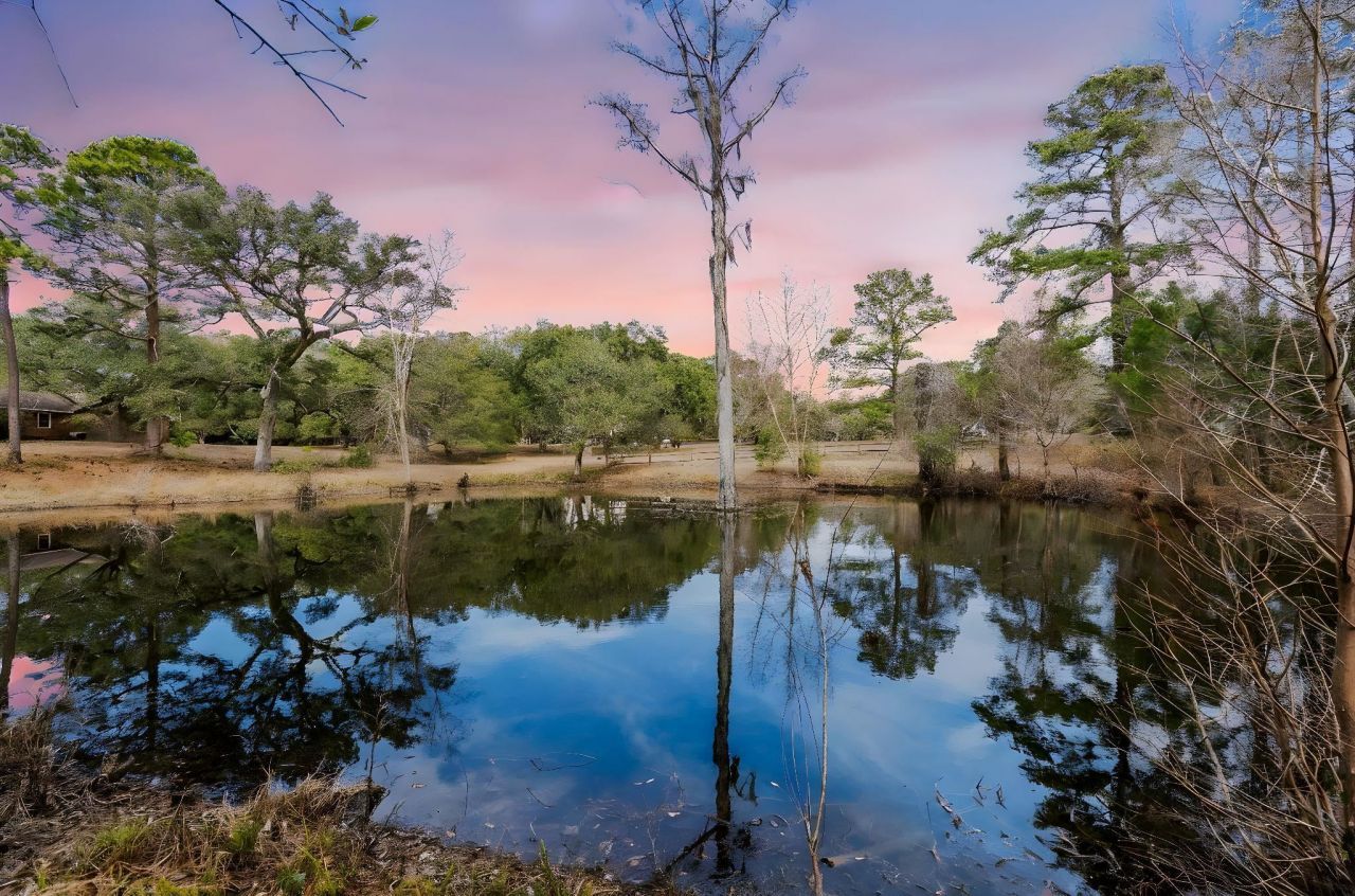 Tbd Shadow Moss Ln. Photo 28