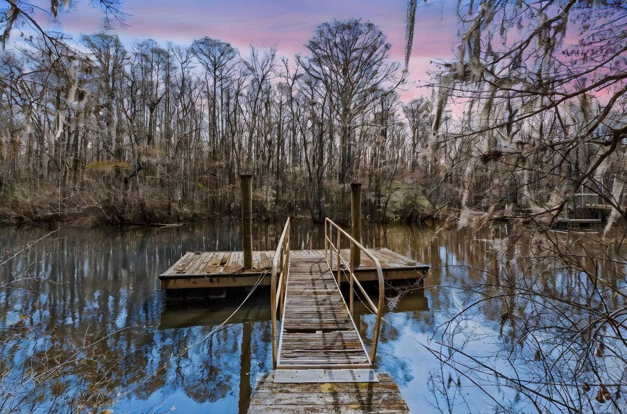 Tbd Shadow Moss Ln. Photo 29