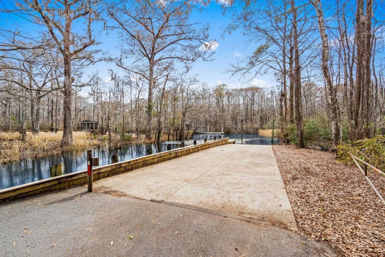 Tbd Shadow Moss Ln. Photo 34