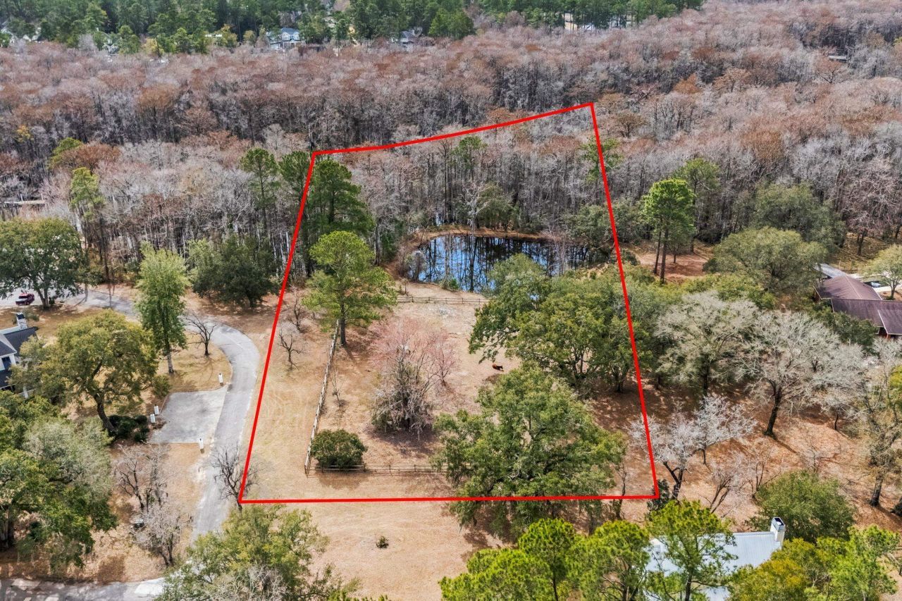 Tbd Shadow Moss Ln. Photo 7