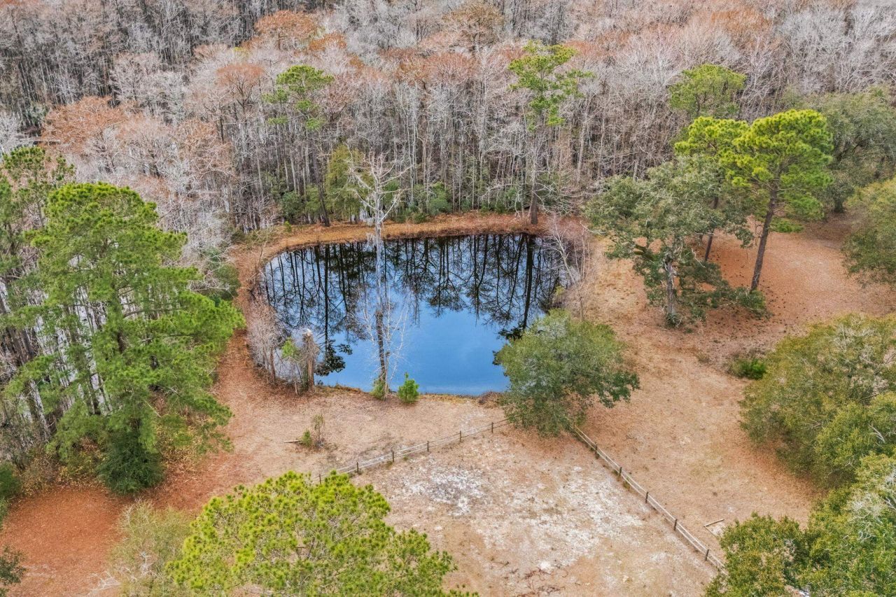 Tbd Shadow Moss Ln. Photo 9