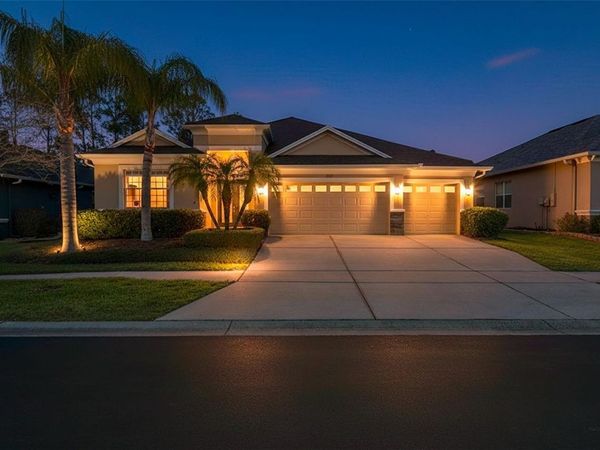 3303 STONEGATE FALLS DRIVE, LAND O LAKES, FL 34638