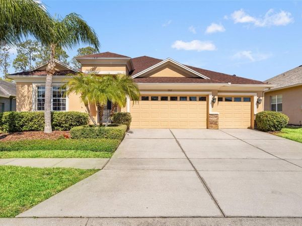 3303 STONEGATE FALLS DRIVE, LAND O LAKES, FL 34638