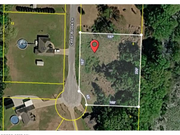 285 Cedar Brook Lane , Henderson, TN 38340