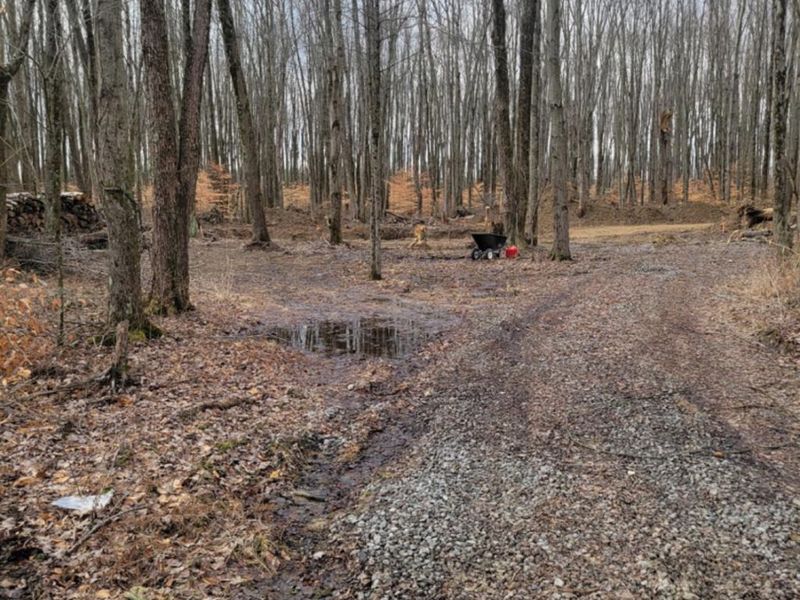 6115 Manila Road, Wayne Twp, OH 45122 Photo 2