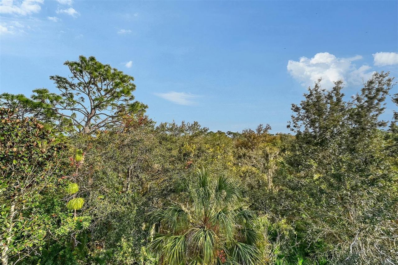 8922 White Sage Loop, Lakewood Ranch, FL 34202 Photo