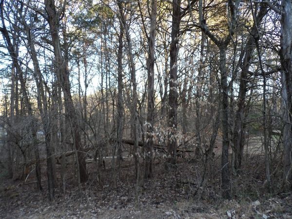 Lot 1060 Mountain View Lane, Baneberry, TN 37890