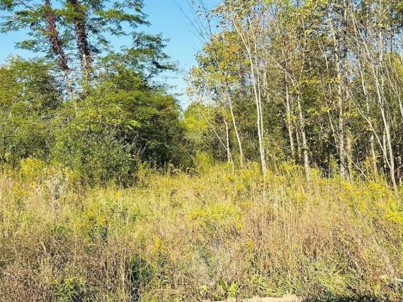 0 Sitterley Road NW, Canal Winchester, OH 43110 Photo 11