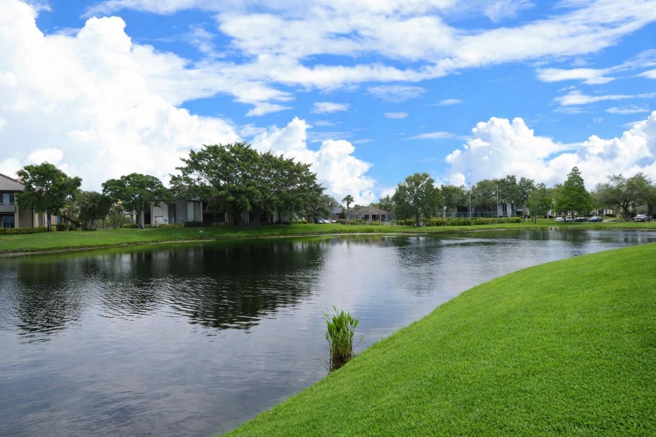 10265 Gandy Boulevard N, Unit 1711, Saint Petersburg, FL 33702 Photo