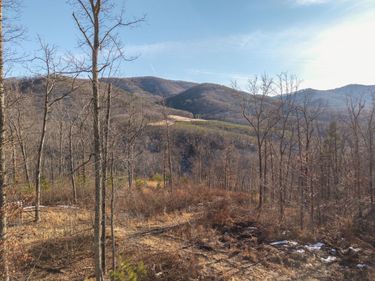 0 Middle Mountain Rd, Covington, VA 24426